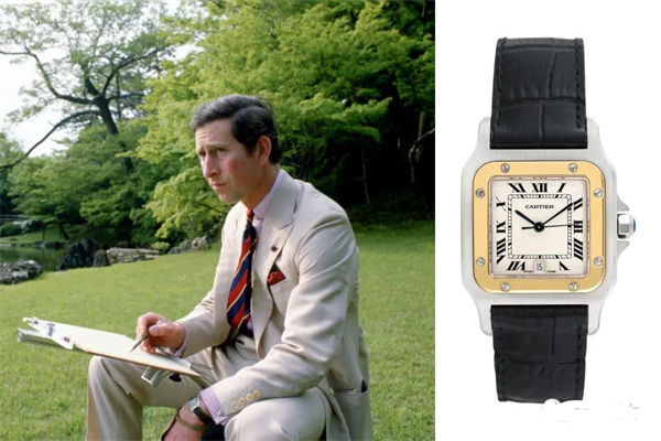 帕玛强尼机械表机芯生锈应该咋解决（图）